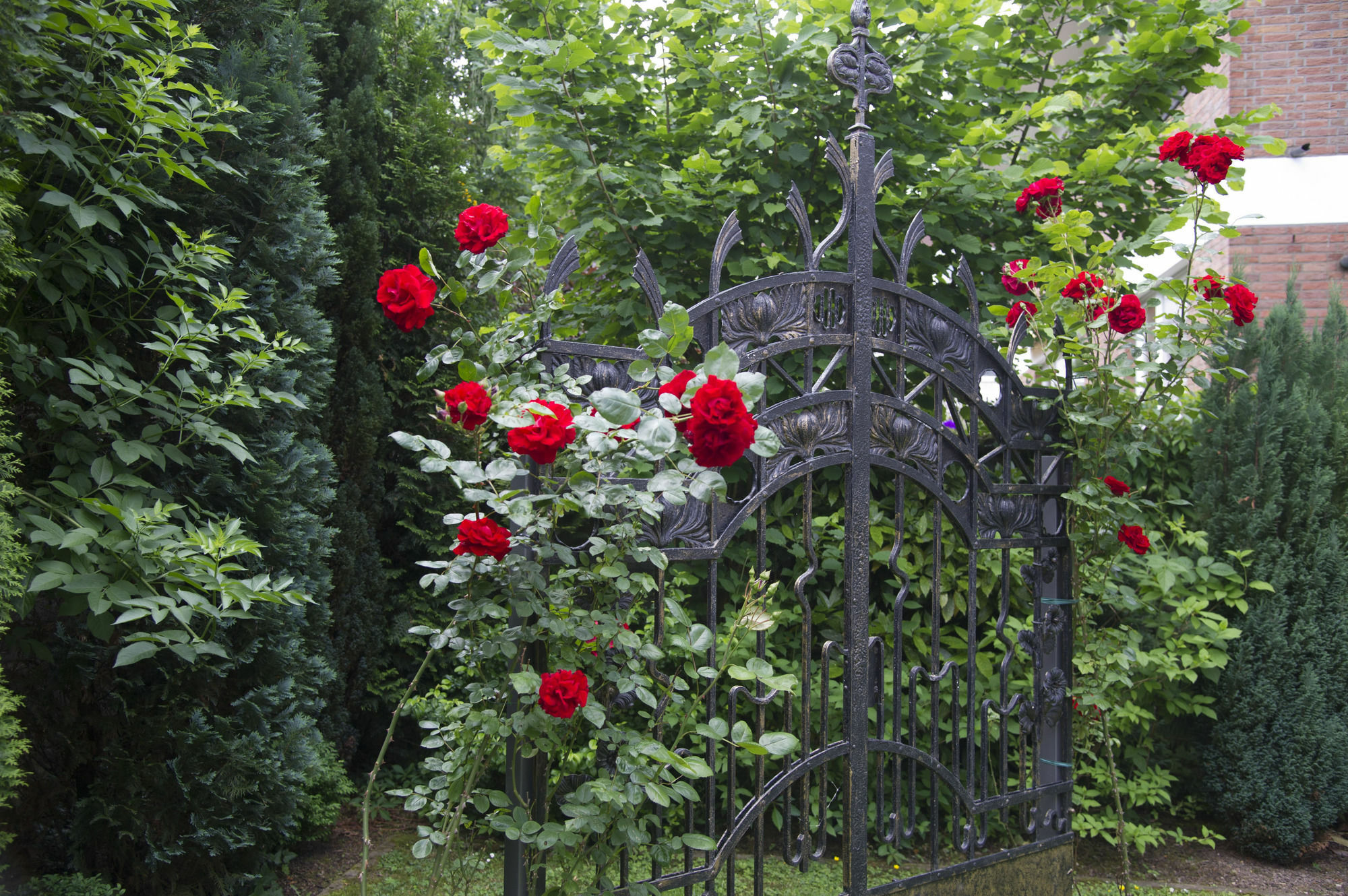 Boutiquehotel Dreesen - Villa Godesberg Bonn Ngoại thất bức ảnh